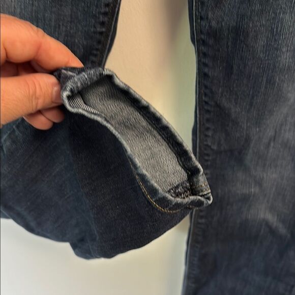 Hudson Jeans Blue Skinny Denim Tapered Fit - Picture 4 of 12